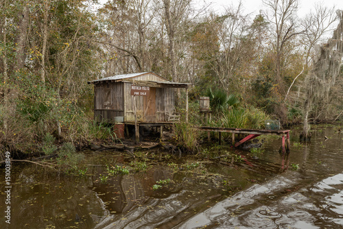 A weathered wooden cabin stands on the edge of a Louisiana swamp, its faded planks and tin roof blending into the wild, moss-draped cypress trees