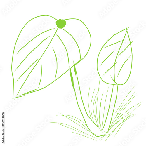 vector illustration of a flower