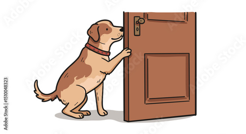 Dog knocking on the door with paws on a white background