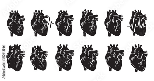 Set of Stylized Anatomical Human Heart Icons with EKG Waveforms  Vector Graphics