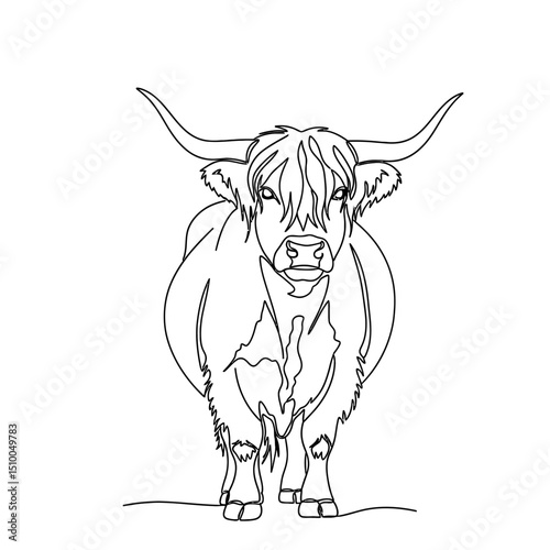 Highland cow line drawing isolated on white background, showcasing the iconic Scottish cattle with its long horns and shaggy coat in a minimalist style