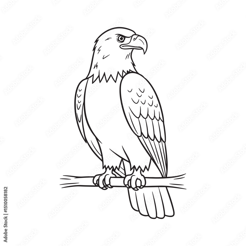 Fototapeta premium American Eagle Simple Line Art Drawing Art & Illustration