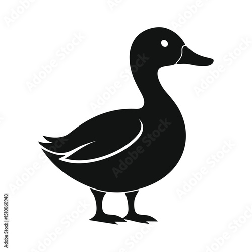 Isolated wild waterfowl bird on white background