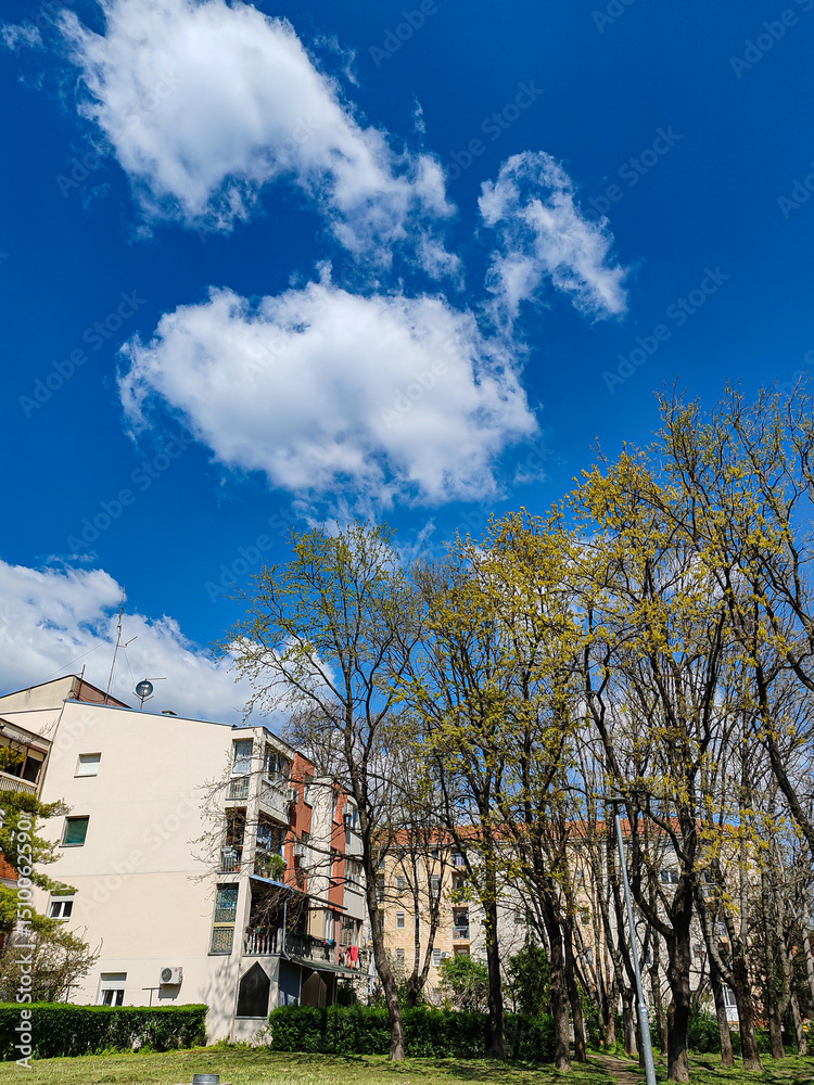 View from the park of blue sky and fluffy clouds, Belgrade, April 2025 View from the park of blue sky and fluffy clouds, Belgrade, April 2025