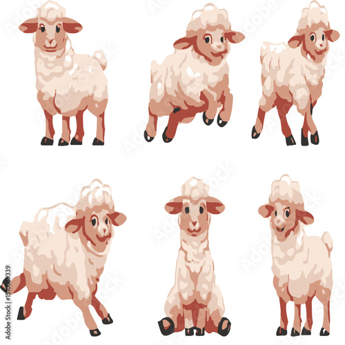set of sheep vector 