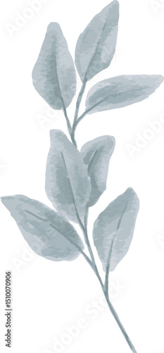 Leaves watercolor vector and illustration for commercial and advertisement