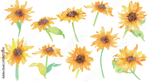水彩画。水彩タッチのひまわりイラスト。向日葵のベクター素材。夏のヒマワリフレーム。Watercolor painting. Sunflower illustration with watercolor touch. Sunflower vector material. Summer sunflower frame.