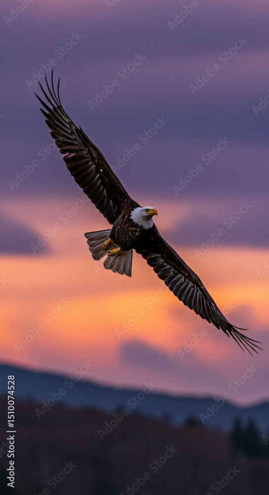 Fototapeta premium Eagle in Flight Against Colorful Sky