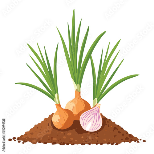 Homegrown onion plant