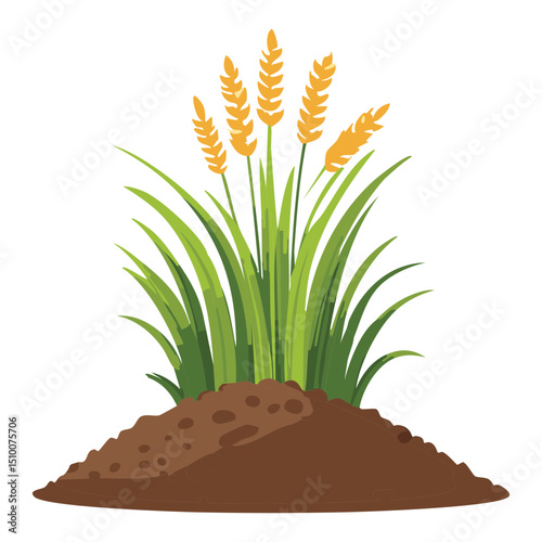 Harvested Wheat Agriculture Illustration