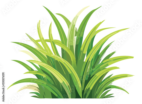 Wider grass bush illustration