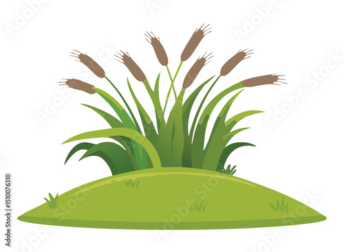 Wild wetland plant with brown spikes