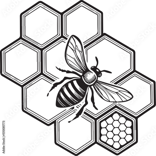 Honeycomb with Honeybee or Bee Vector Illustration, Sketch Drawing Line Linear Symbol Icon Engraving Coloring Book, Hand-drawn Black and White Isolated