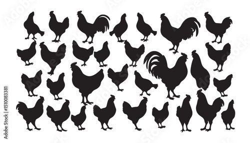 Group of hen chicken Black Silhouette Bundle - Remarkable Vector Illustrations for Nature Lovers of Wild or Domestic Animals, isolated on white

