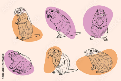 Charming illustration of groundhogs in various poses with colorful background accents featuring different animals