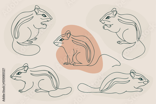 Elegant chipmunk line art illustrations in different poses with decorative abstract background elements