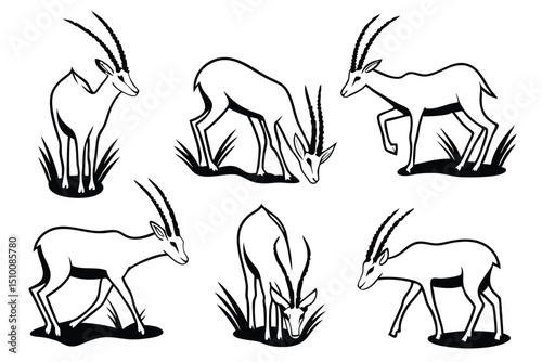 Vector illustrations of gazelles in various poses grazing and standing on white background