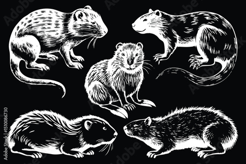 Hand-drawn ink illustration of various rats in different poses over a black background artwork