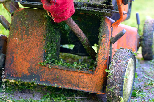 Cleaning up mown grass handle lawn mower.Professional grass cutting photo
