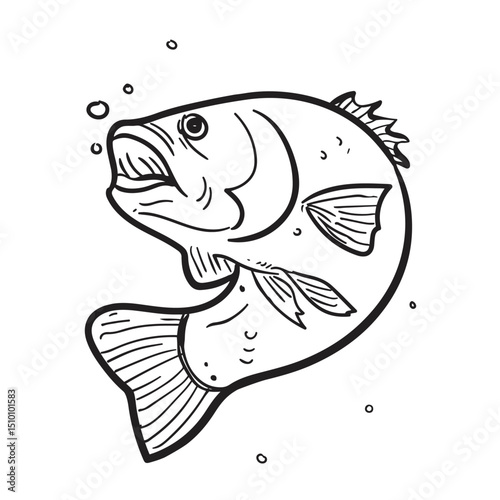 vector illustration of a largemouth bass. Drawing. 