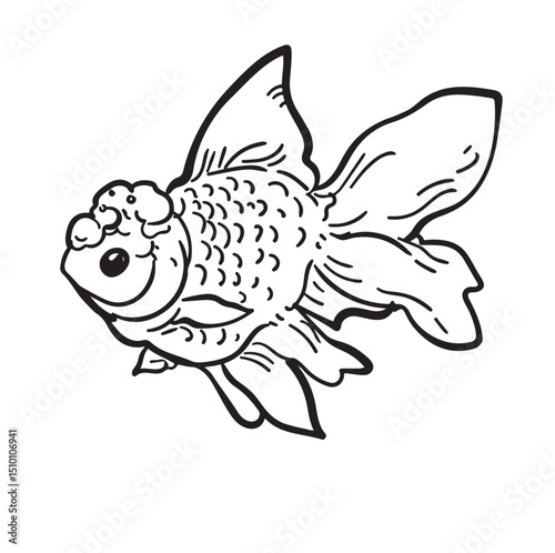 Bump headed fish. Cichlid. Bump head fish vector illustration