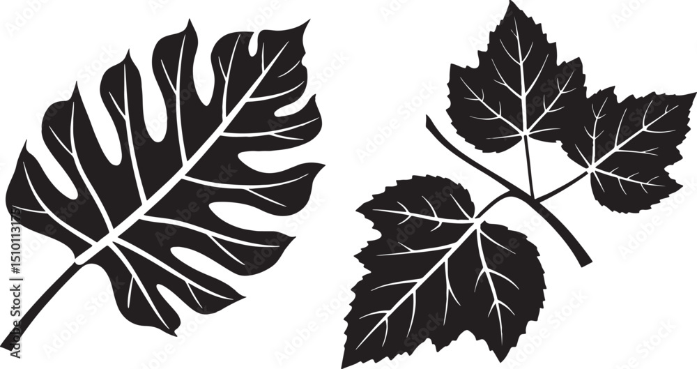 Obraz premium set of leaves