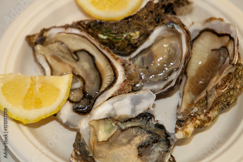 typical dishes fish cuisine mussel festival in cervia oysters and molluscs