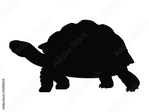 Striking black silhouette of a tortoise isolated on a clean white background
