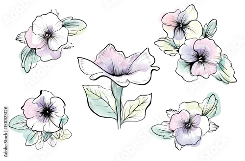 Watercolor petunia floral illustration set botanical painting