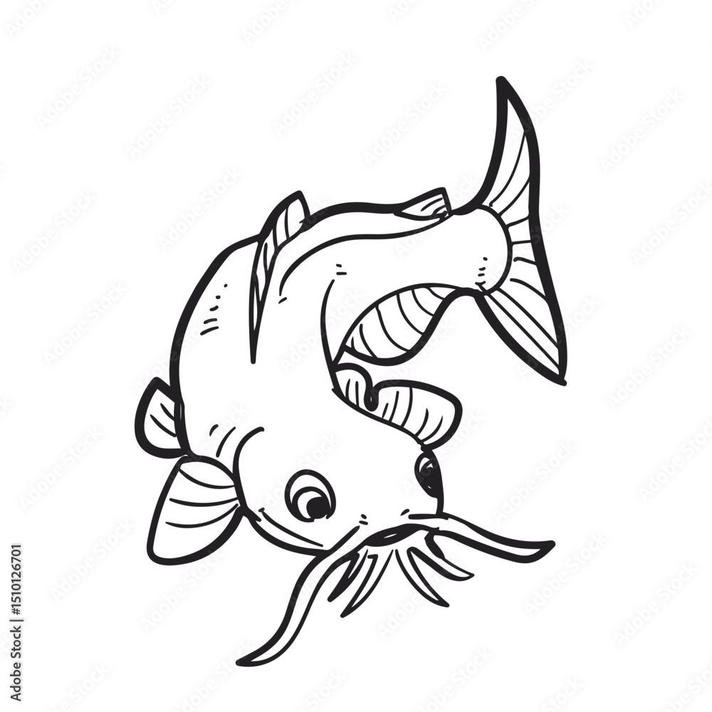 Fototapeta premium the catfish vector illustration. Drawing. 