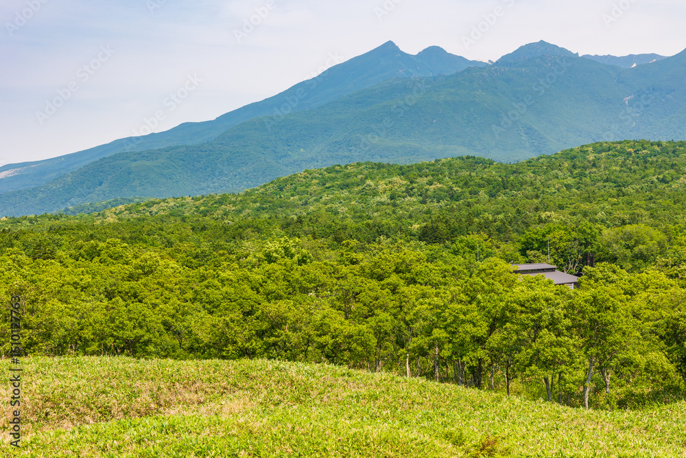 Naklejka premium 日本の風景・夏 世界遺産・北海道知床 知床五湖 