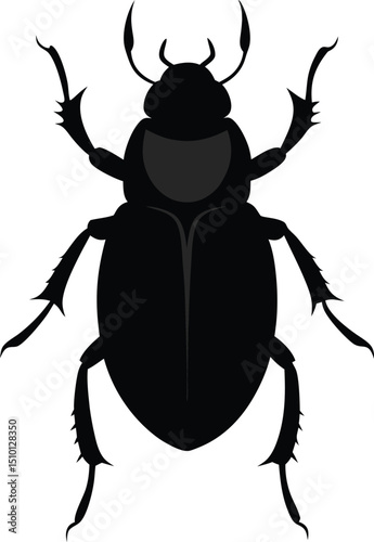 black beetle vector illustration