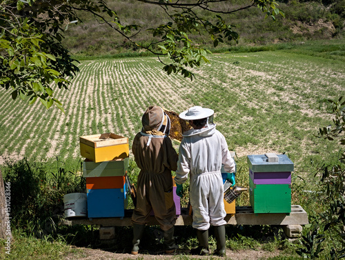 Giovani apicoltori al lavoro in primavera