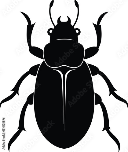 black beetle vector illustration