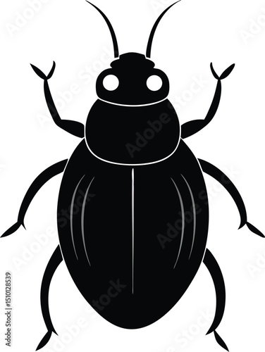 black beetle vector illustration