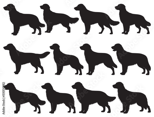 FLATCOATED RETRIEVER DOG SILHOUETTE