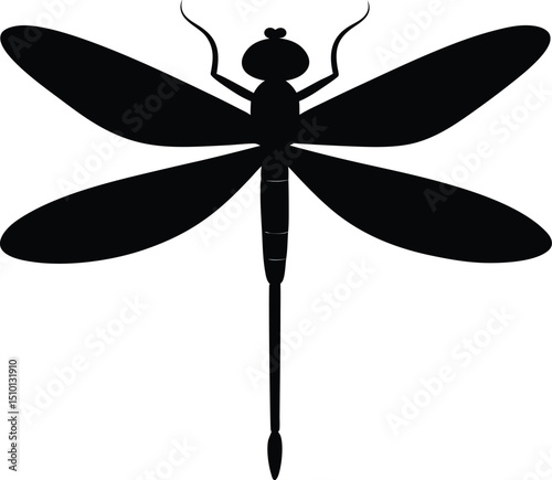 dragonfly vector illustration