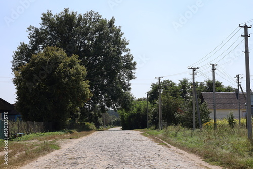 Wallpaper Mural rural road in the countryside Torontodigital.ca