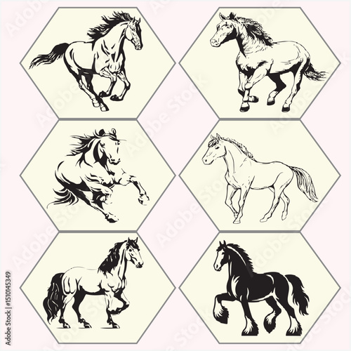 beautiful horse vector sret