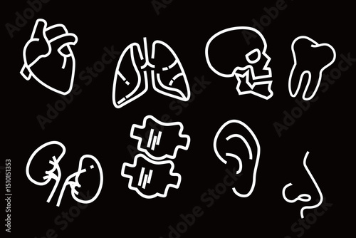 body organ human.eps