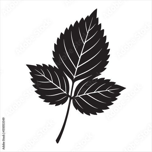 leaf silhouette isolated on white
