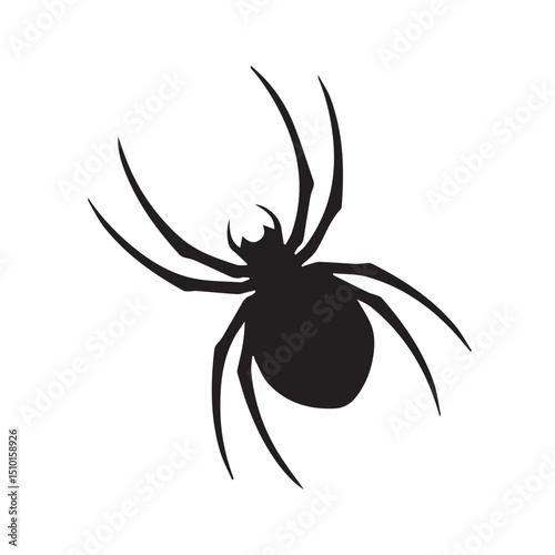 black spider isolated on white background, spider isolated on white background