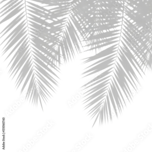 Light shadows of palm leaves falling on the transparent surface, creating a light pattern.