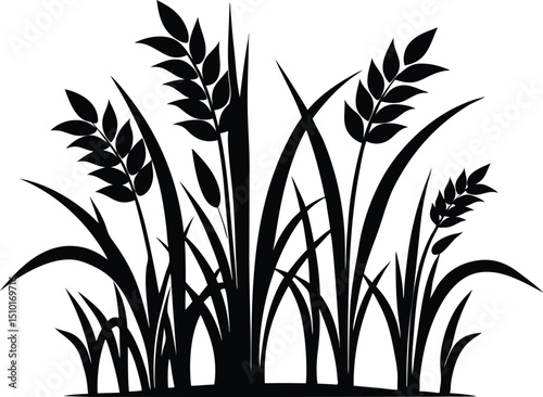 Rice plants silhouette, Paddy plant silhouette design vector art illustration