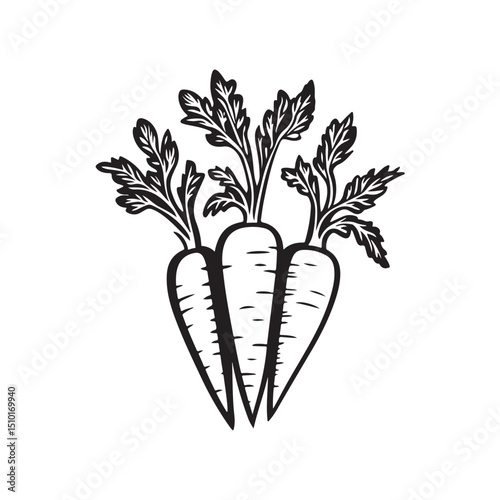 Vector illustration of a fresh carrot with green leave isolated on white background.
