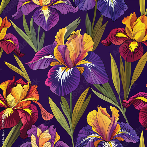 Exquisite artistic seamless floral pattern featuring vibrant iris flowers in shades of purple yellow and red perfect for various design needs.