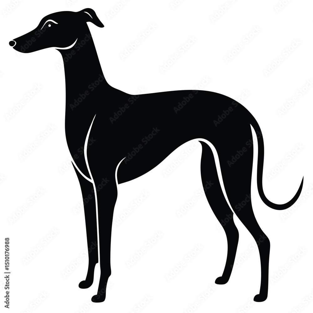 Obraz premium whippet vector sihouette