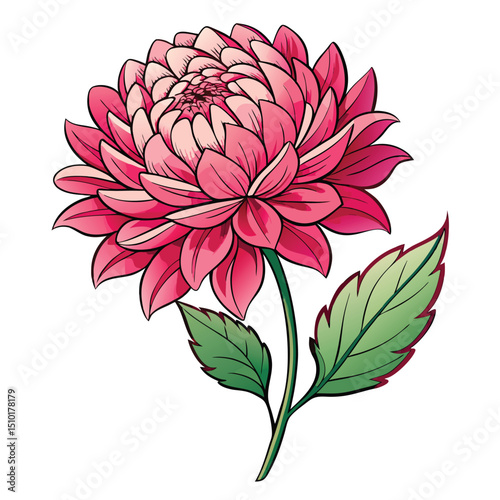 chrysanthemum flower vector 