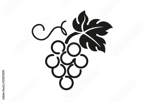 Elegant black and white grapevine illustration
