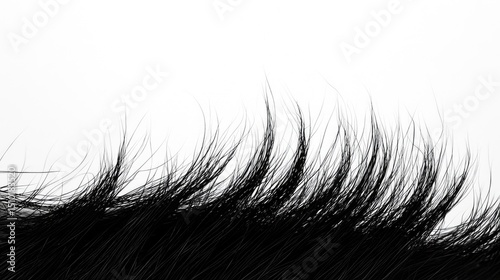 Close-up view of black animal hair texture.